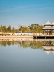 Пейзажные ландшафты государственной водной зоны