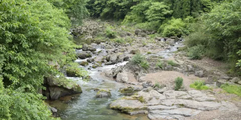 中国眉山七里坪旅游度假区