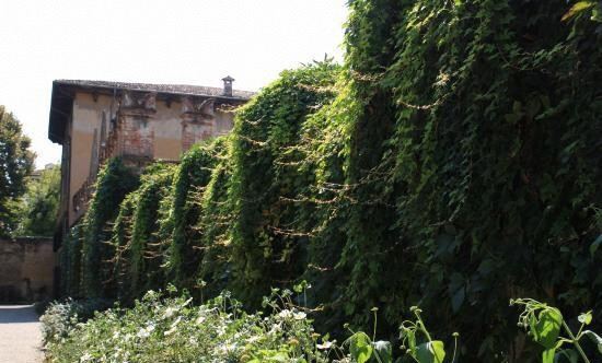Giardino Giusti