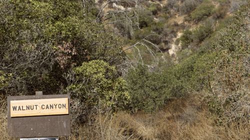 Eaton Canyon Falls Trail