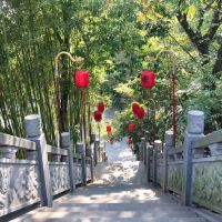 評論圖片 7