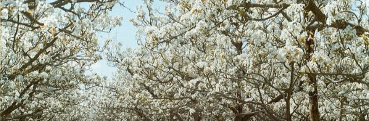 美食林(中兴路春天百货店)