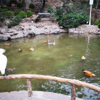 評論圖片 3