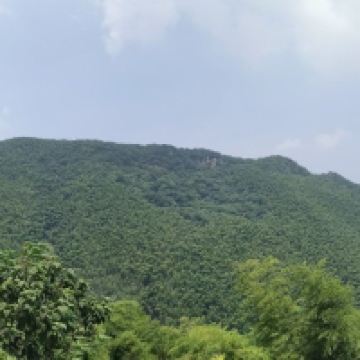 評論圖片 1
