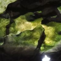 評論圖片 1