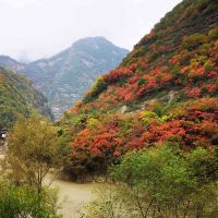 評論圖片 2