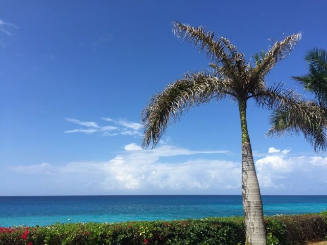 Aqua Sol Beach Attractions Montego Bay Travel Review Travel Guide Trip Com Aqua Sol Beach Attractions Montego Bay Travel Review Travel Guide Trip Com