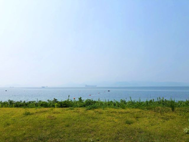 直島