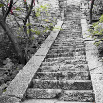 評論圖片 2