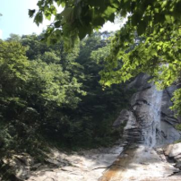 評論圖片 8