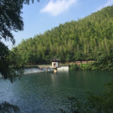 評論圖片 3