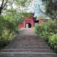 評論圖片 9