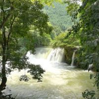評論圖片 5