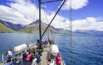 Lake Wakatipu Sightseeing Tour