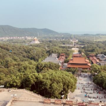 評論圖片 7