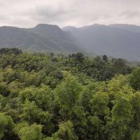 評論圖片 6
