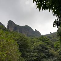 評論圖片 8