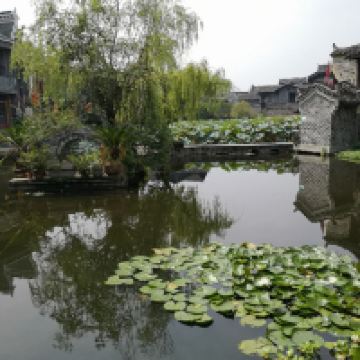 評論圖片 4