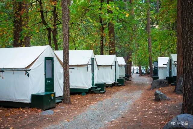 Top Things to Do When Visiting Yosemite National Park