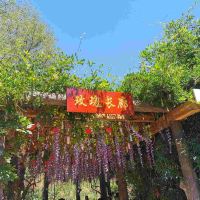 評論圖片 2