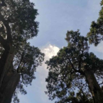 評論圖片 1