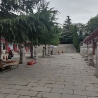 評論圖片 2