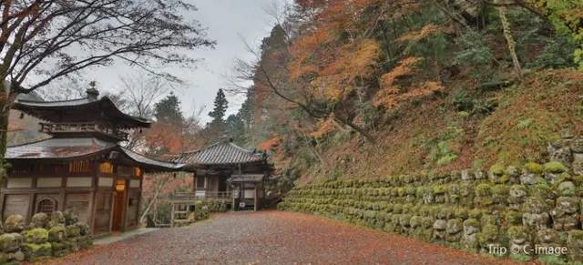 Arashiyama: Neighbourhood You Cannot Miss in Kyoto