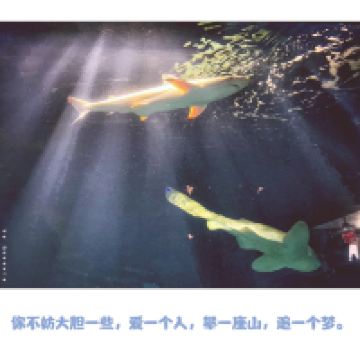 評論圖片 4