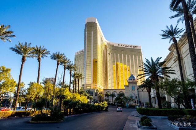 10 Best Shows in Vegas 2020: Acrobats, Magic, Comedy