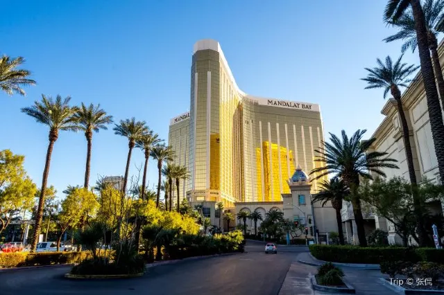 10 Best Shows in Las Vegas 2025: Acrobats, Magic, Comedy