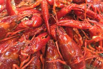 Liangliang Signature Steamed Shrimp (Xuesong Road Main Branch) user photo
