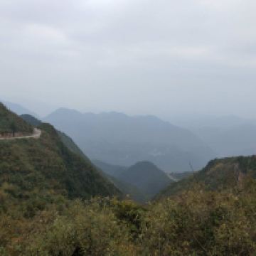 評論圖片 3