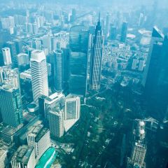 The Butterfly Room User Photo