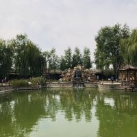 評論圖片 5
