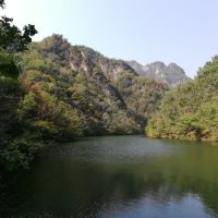 評論圖片 1