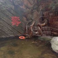 評論圖片 6