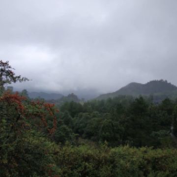 評論圖片 4