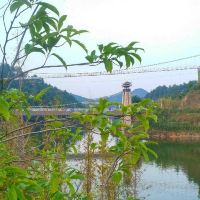 評論圖片 7