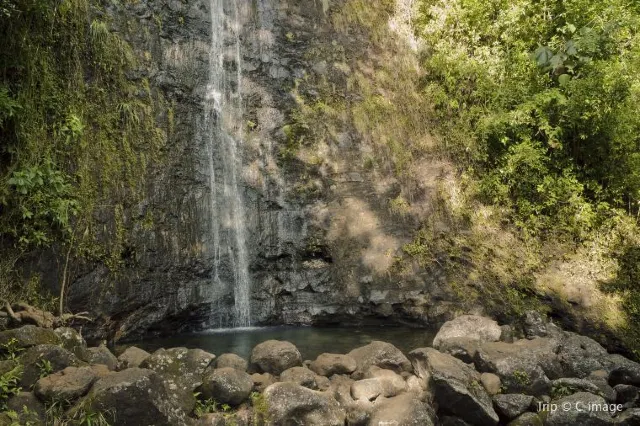 The Best Trail in Honolulu: Manoa Falls