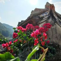 評論圖片 4