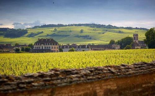 波瑪酒庄(Chateau de Pommard)位於法國勃艮