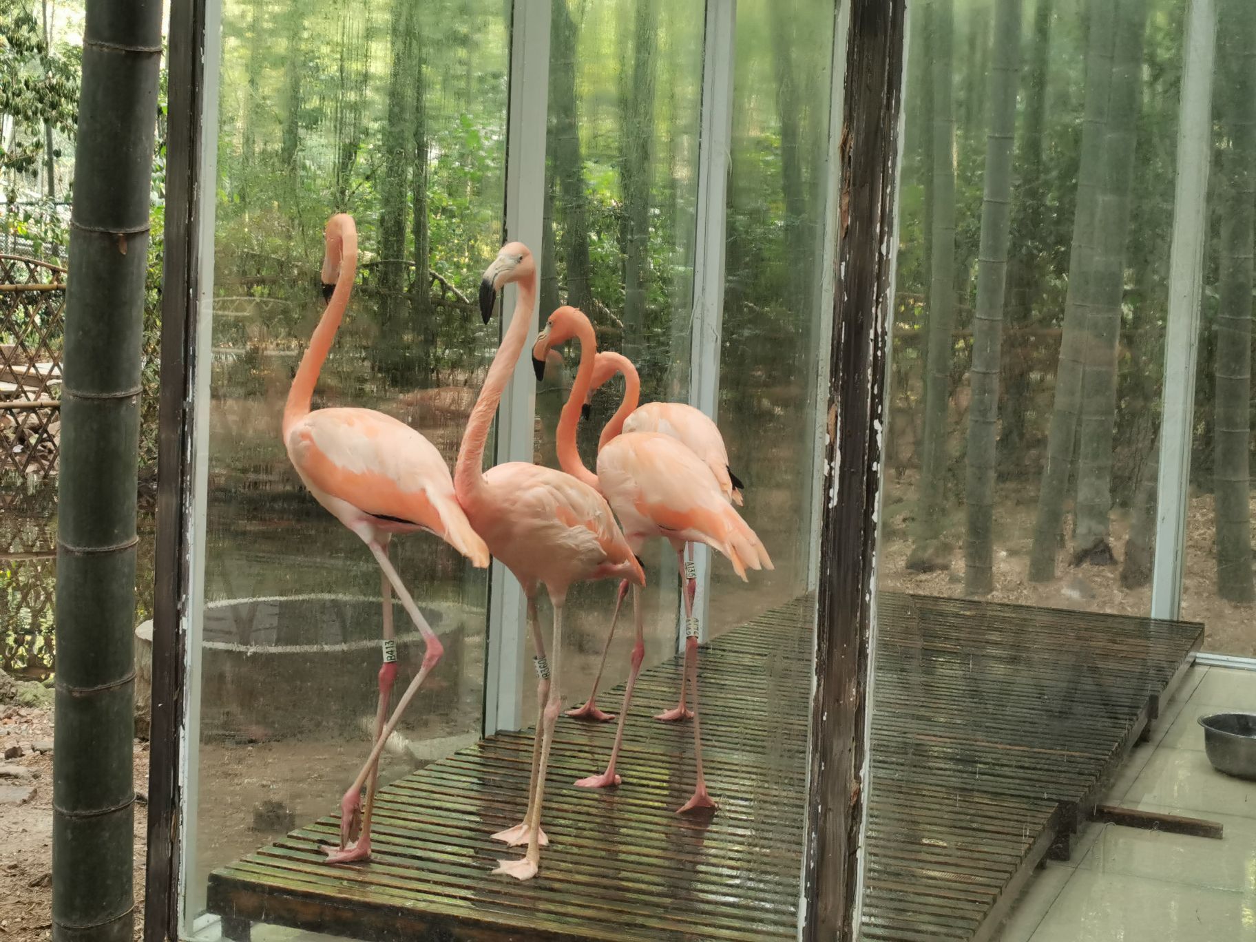 Paradise Of Birdsのレビュー Paradise Of Birdsのチケット Paradise Of Birdsの割引 Paradise Of Birdsの交通機関 所在地 営業時間 Paradise Of Birds周辺の観光スポット ホテル グルメ Trip Com