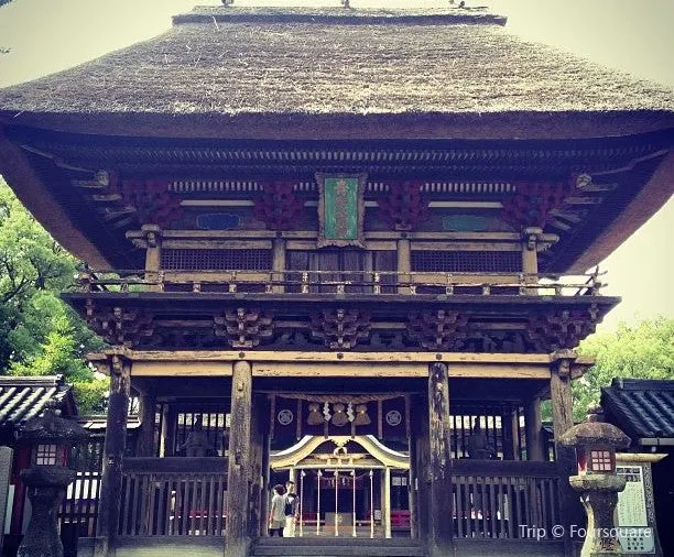 【暢游阿蘇】盤點熊本阿蘇獨特景點及美食