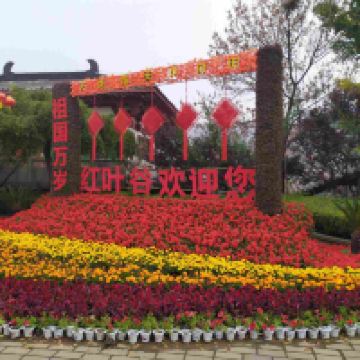 評論圖片 1