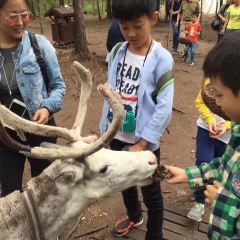 AO LU GU YA User Photo