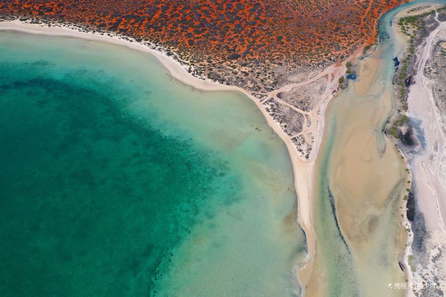 Perth to Monkey Mia Flights