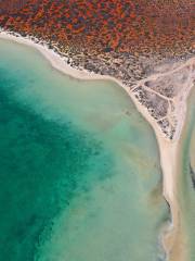 Shark Bay