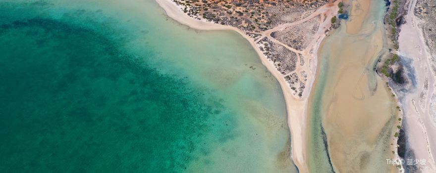 Shark Bay