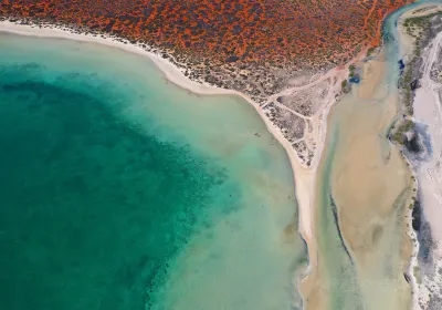 Shark Bay