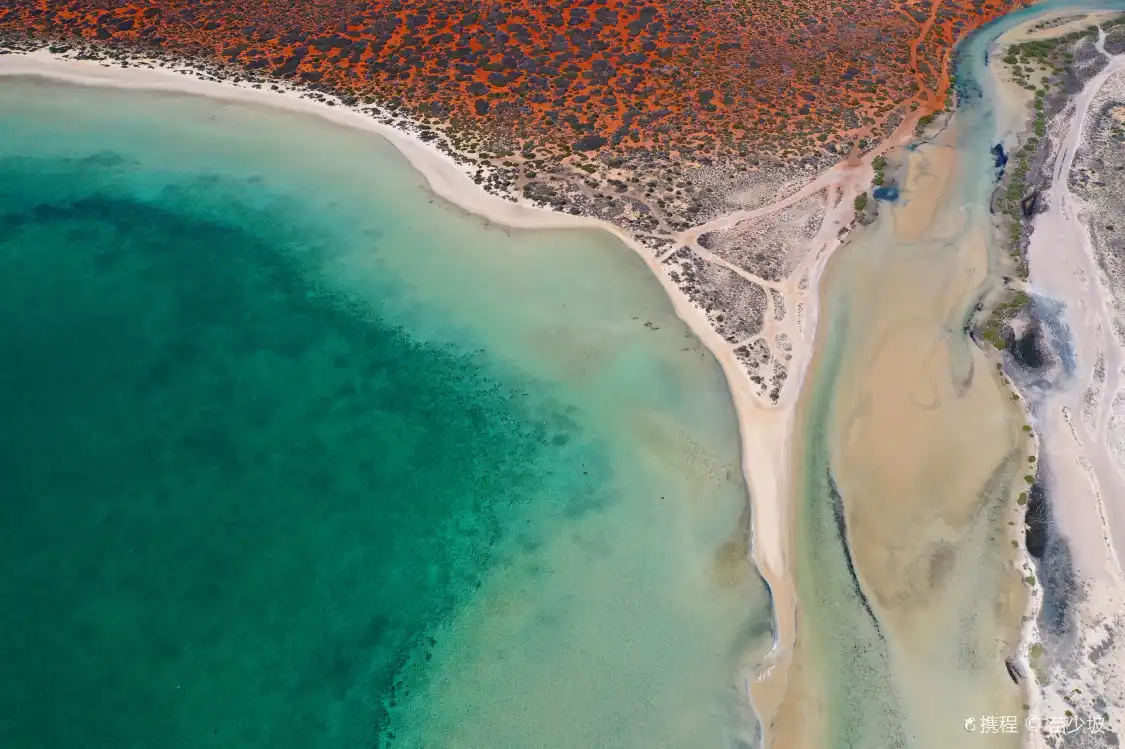 Hotels near Shark Bay